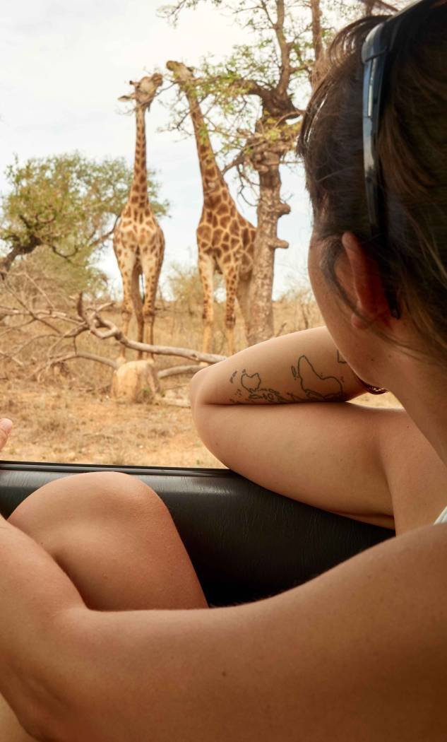 woman-watching-pair-of-giraffes-through-car-windo-2026-01-05-00-34-10-utc_11zon