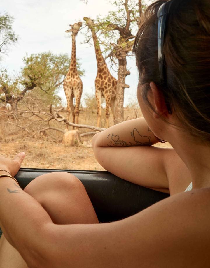 woman-watching-pair-of-giraffes-through-car-windo-2026-01-05-00-34-10-utc_11zon