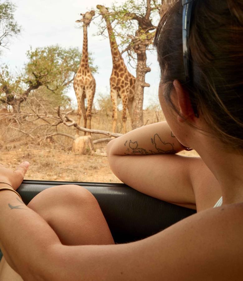 woman-watching-pair-of-giraffes-through-car-windo-2026-01-05-00-34-10-utc_11zon