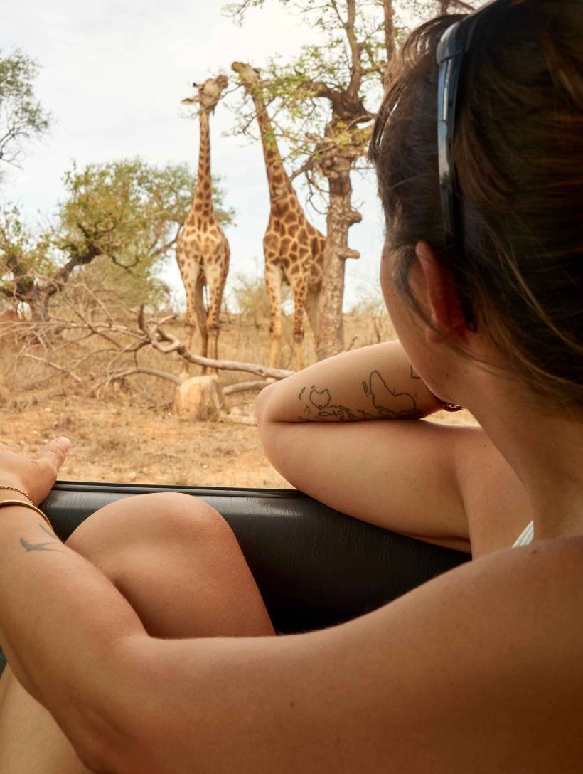 woman-watching-pair-of-giraffes-through-car-windo-2026-01-05-00-34-10-utc_11zon